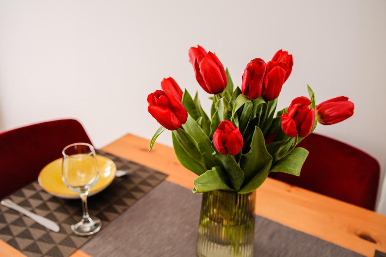 City Apartment Dorobantilor Cluj-Napoca Eksteriør bilde