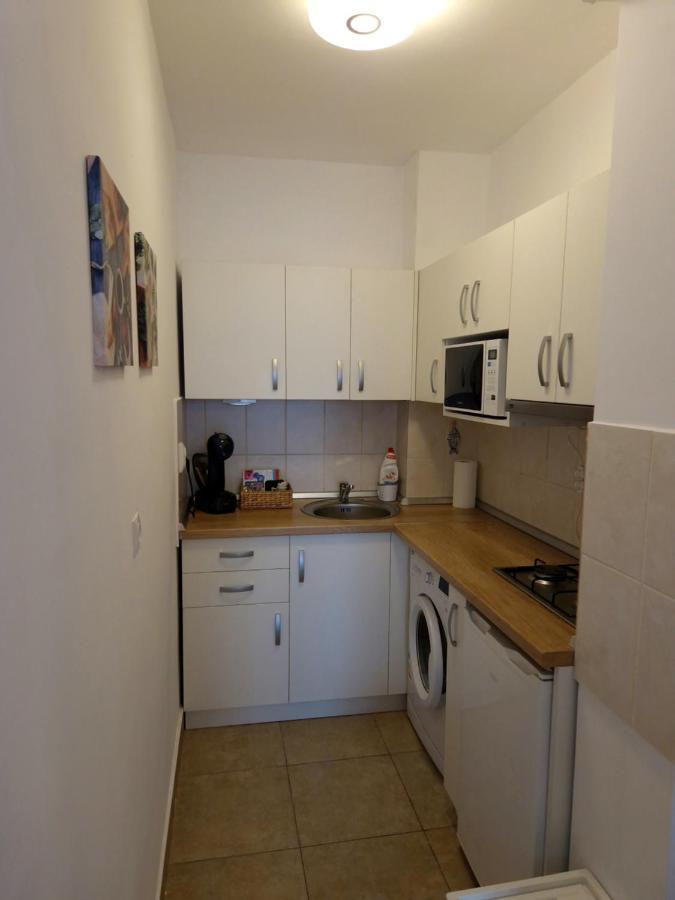 City Apartment Dorobantilor Cluj-Napoca Eksteriør bilde